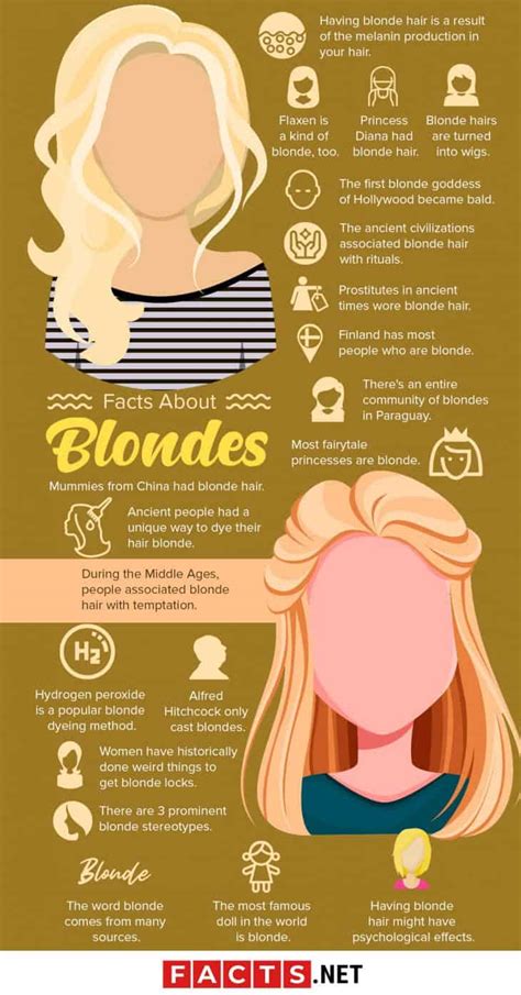 blonde slang meaning|facts about blonde haired people.